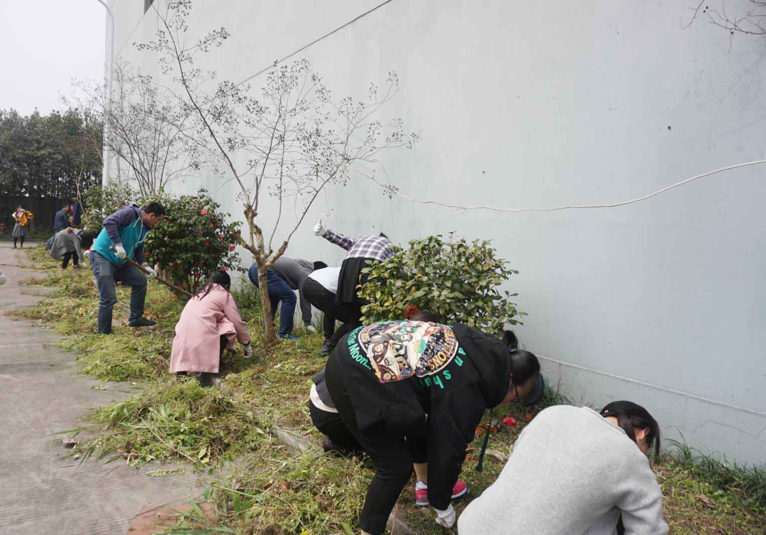 
                            草长莺飞春三月，众人除草绿家园